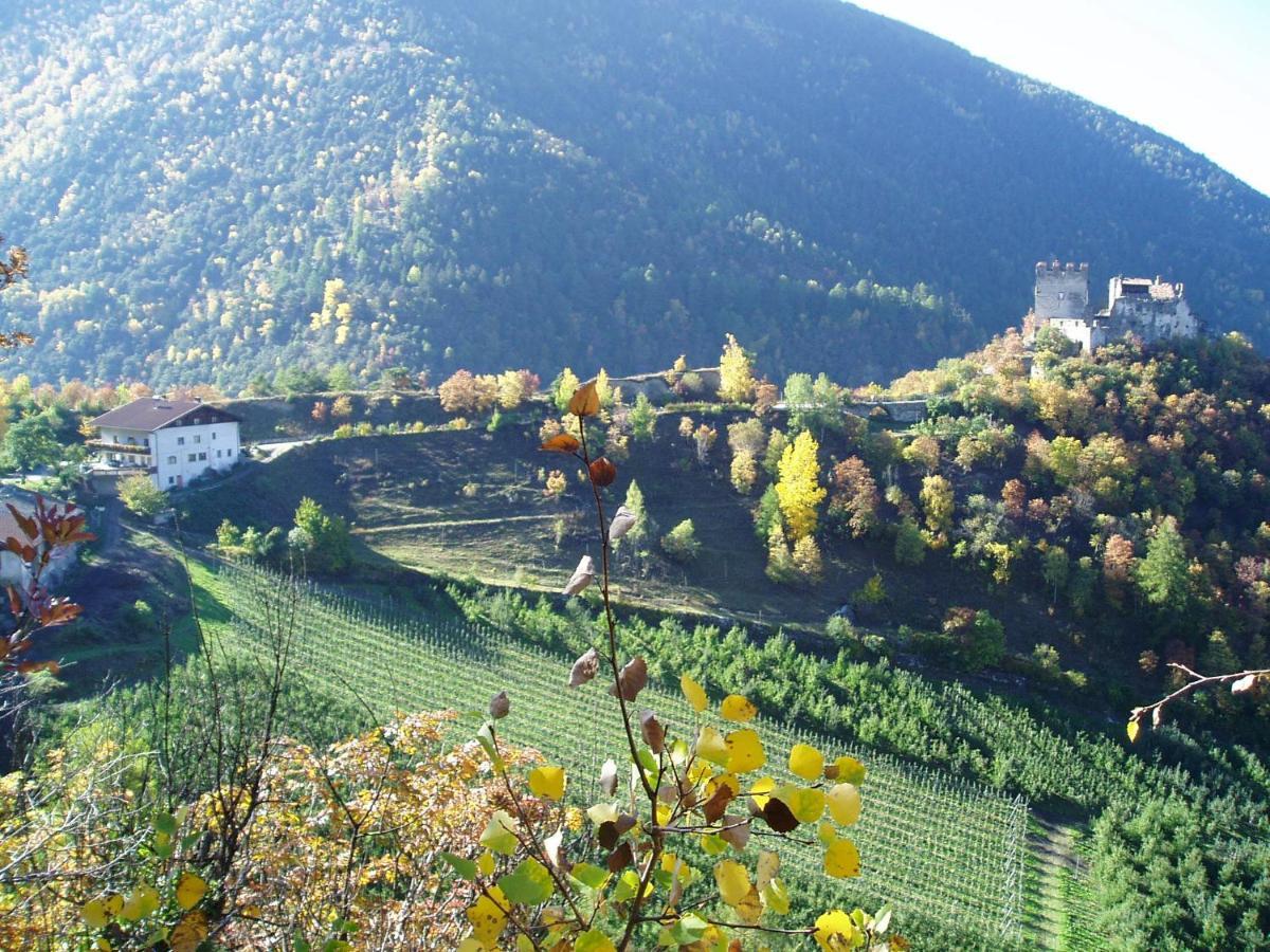 Schlosshof Zu Montani Morter Ngoại thất bức ảnh