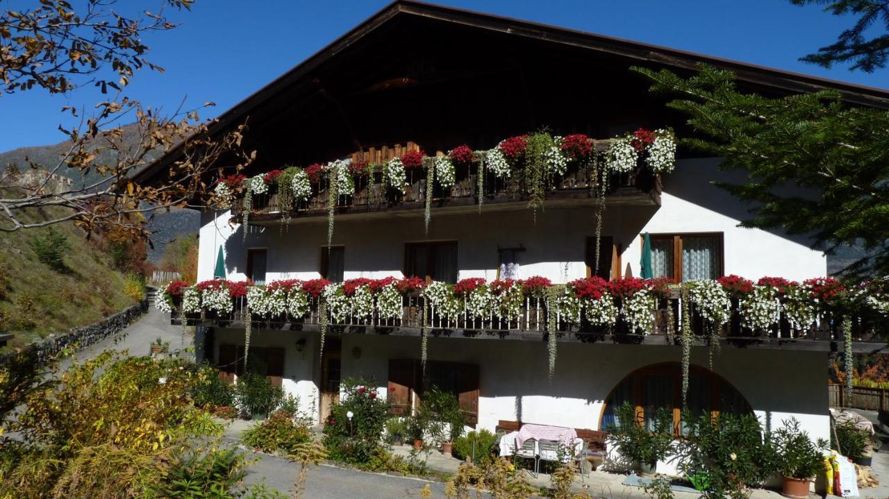 Schlosshof Zu Montani Morter Ngoại thất bức ảnh